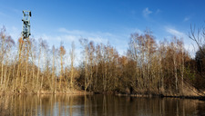 |Zones humides| Randonnée autour des plans d'eau du site minier de Sabatier