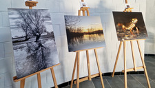 |Zones humides| Exposition photo