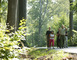 Forêt domaniale de Raismes-Saint-Amand-Wallers 1 - Saint-Amand-les-Eaux